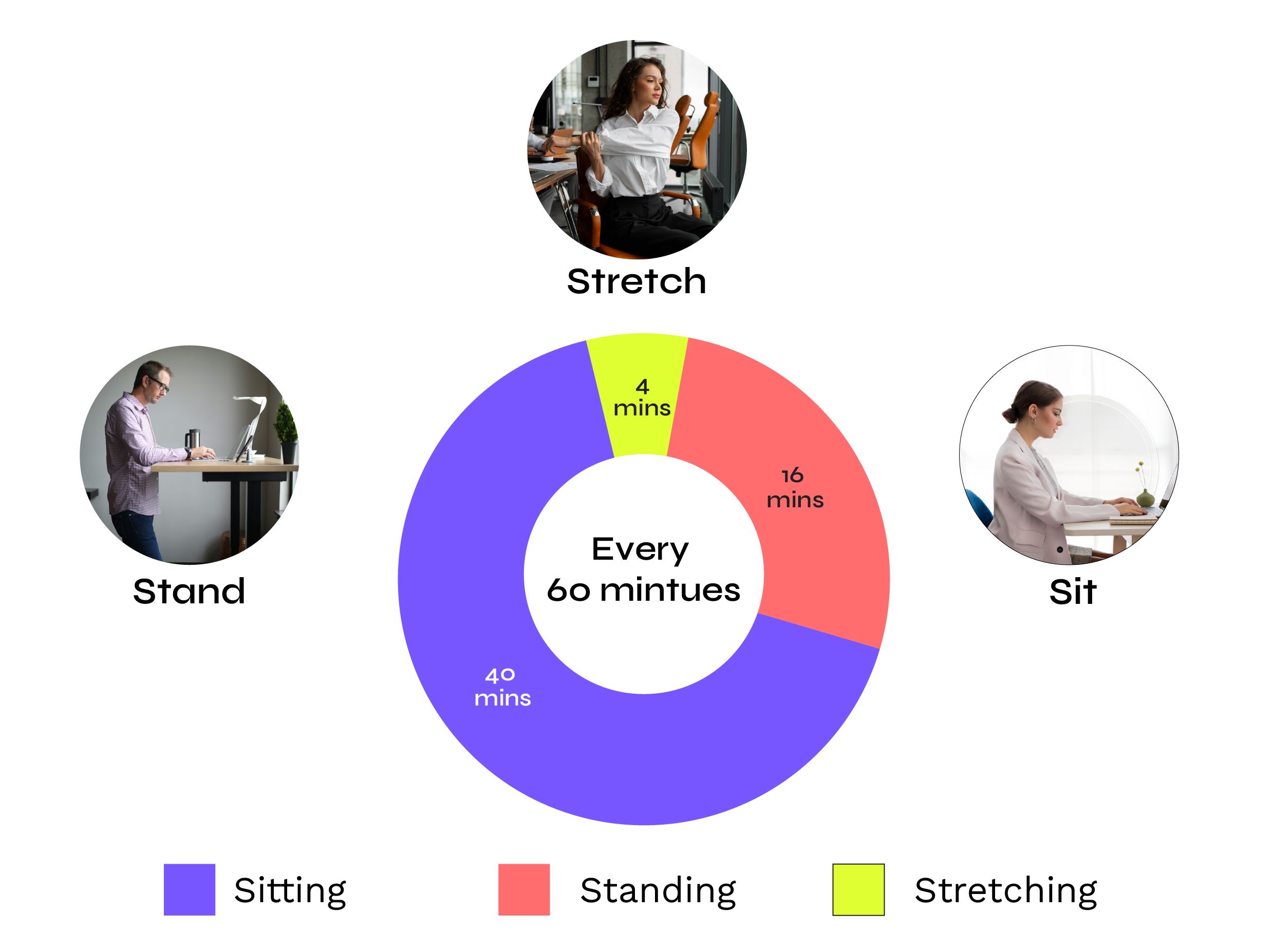 Sit-stand routine timing guidance